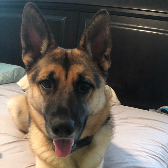 Meet your Posher, Blake and Jessica - Picture 2 of 2